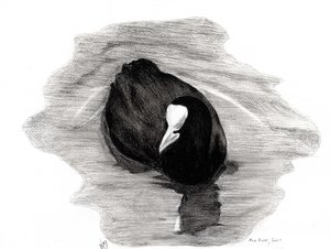 Foulque de Londres, 2013 - Nancy Moniz Charalambous